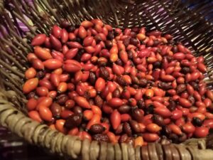 img20231128193442 scaled.jpg