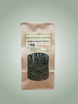 tisane artemisia annua