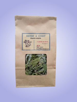 herbe aux chats