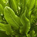 anna evans qyhfeklkv9w unsplash