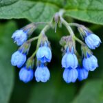 evgen slavin uc0kka45qtu unsplash