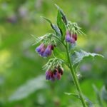 prince prajapati vhhindxqdye unsplash