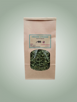 projet supprimer un arrière plan (1)