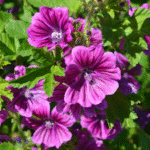 image 2026 01 01 203228965