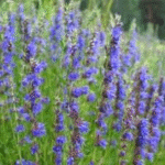 image 2026 01 01 220757243