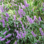 image 2026 01 01 222049427