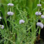 image 2026 01 01 222912163