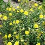 image 2026 01 01 232730760