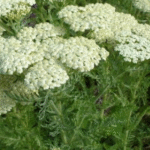 image 2026 01 02 001110419