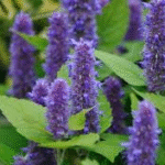 image 2026 01 02 001600109