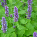 image 2026 01 02 001809994