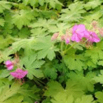 image 2026 01 02 003335039