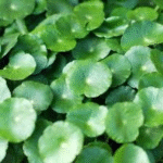 image 2026 01 02 004021590