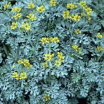 image 2026 01 02 005601440