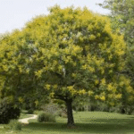 image 2026 01 02 005915301