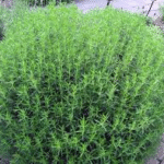 image 2026 01 02 010029553