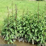 image 2026 01 02 010352063