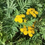 image 2026 01 02 010656372