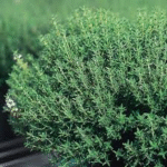 image 2026 01 02 010824569