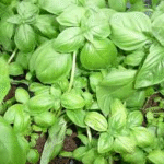 image 2026 01 12 161327695