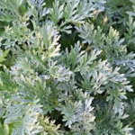 image 2026 01 30 002135488