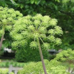 image 2026 01 30 002954769