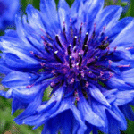 image 2026 01 30 004814068