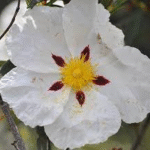 image 2026 01 30 004943692