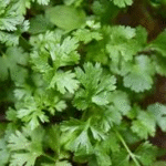 image 2026 01 30 005011291