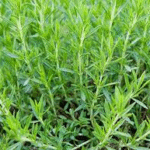 image 2026 01 30 005128172