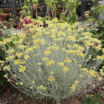 image 2026 01 31 002414180