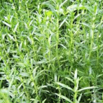 image 2026 02 02 184222737