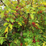 image 2026 02 02 235123135