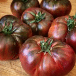 image 2026 02 03 002700042