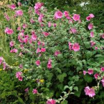 image 2026 02 05 220840782