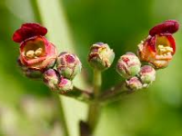 image 2026 02 06 010438272